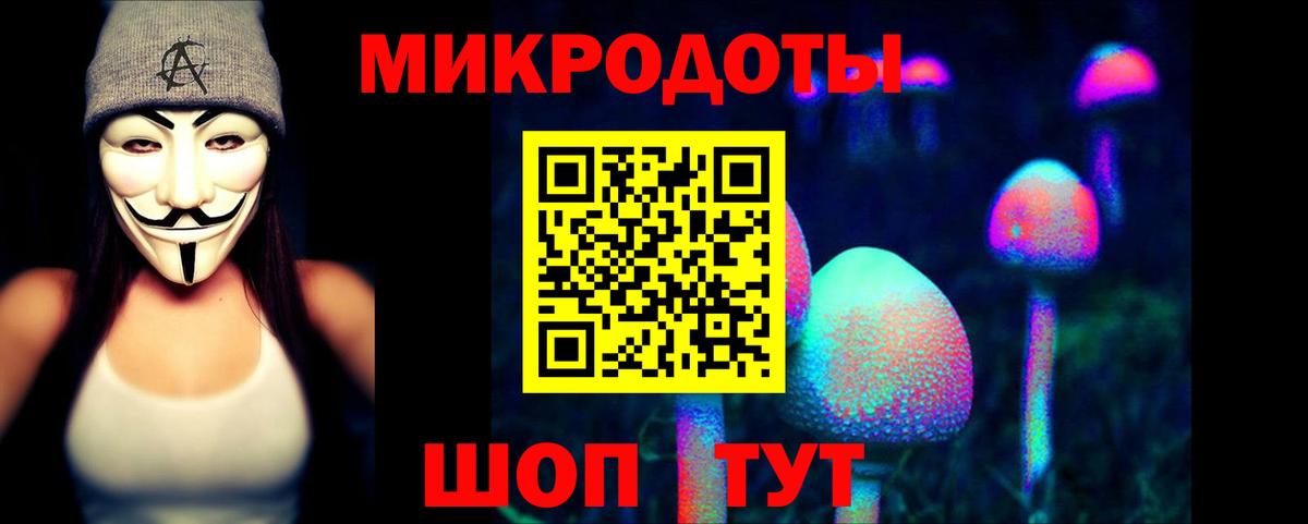 Рассказово  где можно купить наркотик  Псилоцибиновые грибы ЛСД  Вход с VPN  Псилоцибиновые грибы прущие грибы 